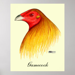 Pôster Gamecock dublado