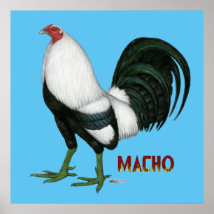 Poster Gamecock Duckwing macho