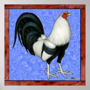 Poster Gamecock enquadrado