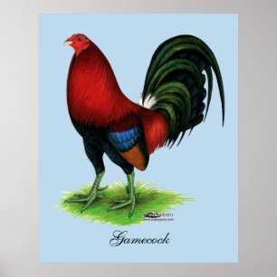 Poster Gamecock: Escuro - vermelho