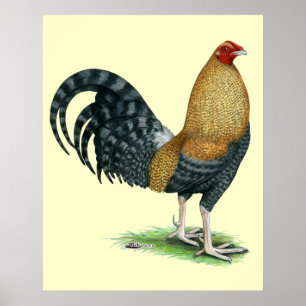 Pôster Gamecock:  Os DOM ou Crele