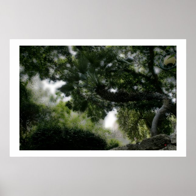 Pôster Gan Eden (Frente)