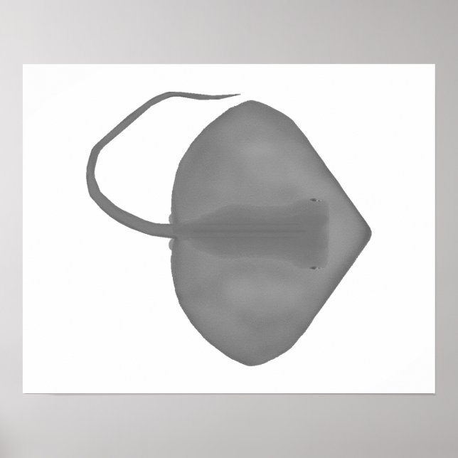 Poster Ganges Stingray (Frente)