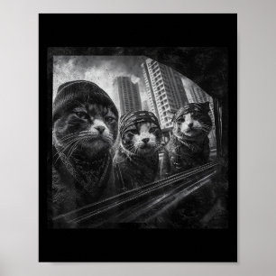 Poster Gangster Cats Street Engraçado Humor Gráfico