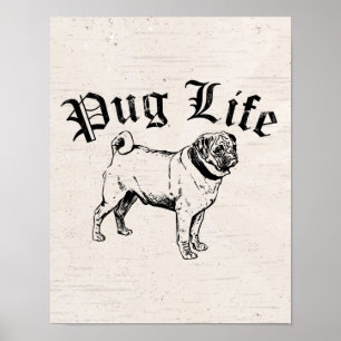 Pôster Gângster engraçado do cão da vida do Pug