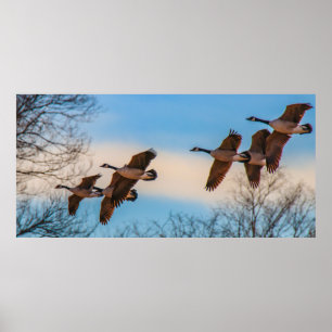 Poster Gangue do Gês