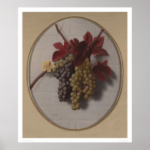 Pôster Ganhos das uvas (1363)