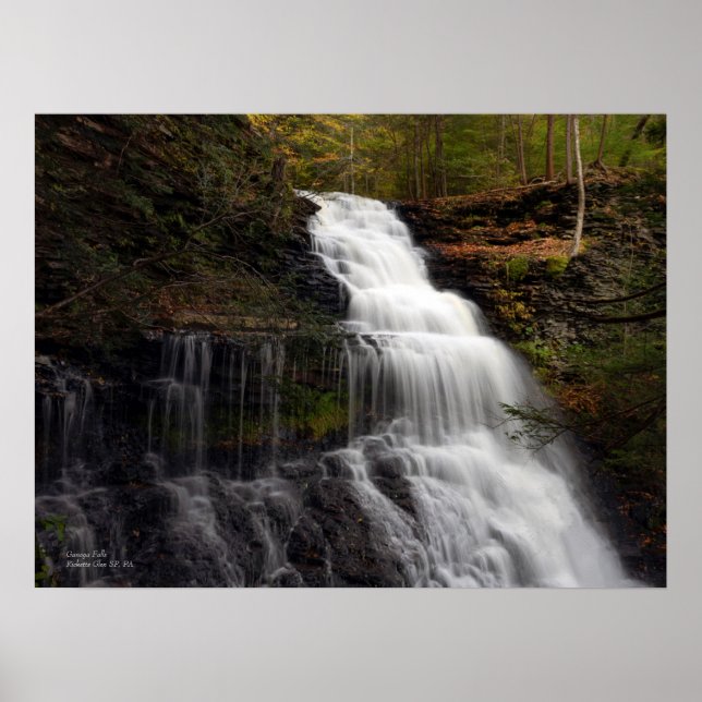 Poster Ganoga Cai 24"x18" (Frente)