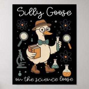 Poster Ganso Bobo No Educador Professor De Ciência Solto 