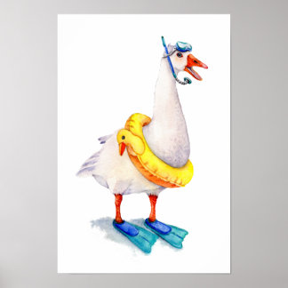 Poster Ganso Branco de Snorkeling