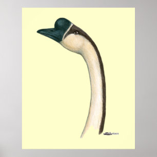 Poster Ganso: Cabeça de Chinês Marrom