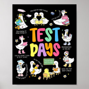 Poster Ganso do Dia de Teste Divertido Dia de Teste STAAR