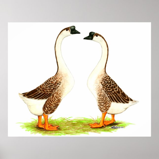 Poster Gansos: Chinês Marrom (Frente)