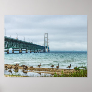 Poster Gansos No Mighty Mac