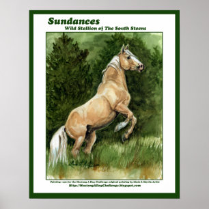 Poster Garanhão selvagem de Sundances do Steens sul