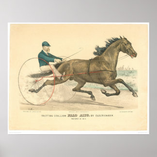 Poster Garanhão Trotting Palo Alto por Eletioneer (1791A)