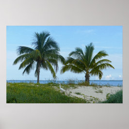 Poster Garça-branca-grande, Treasure Cay, Great Abaco Isl