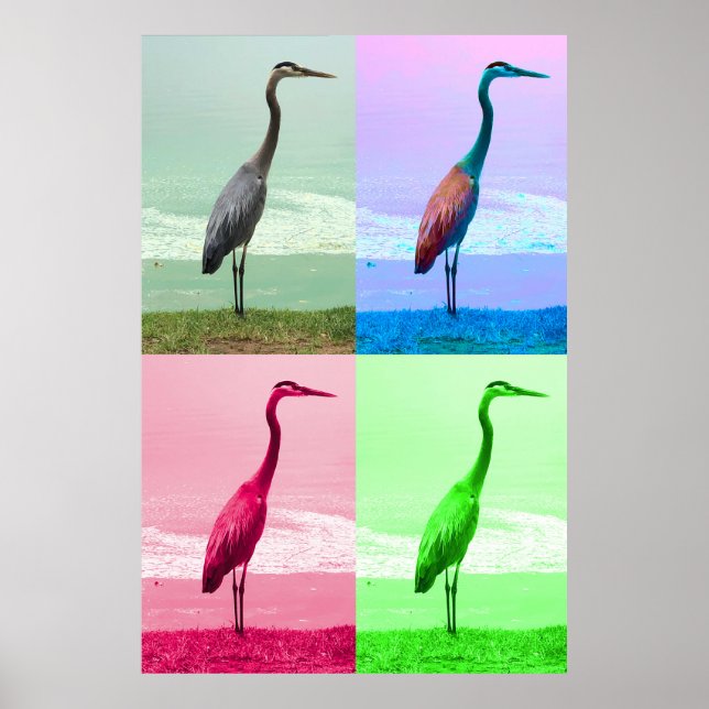 Poster Garça na Margem da Água (Frente)