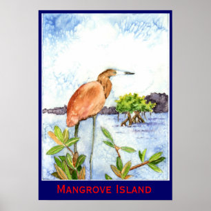 Pôster Garça-real da ilha dos manguezais