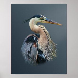 Pôster Garça-real de grande azul