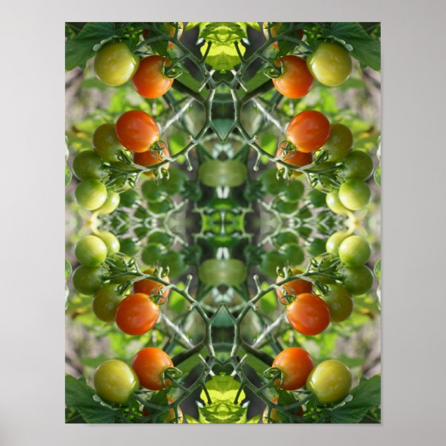Poster Garden Chertomates Abstrato Natureza (Frente)