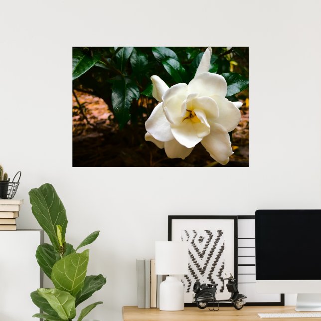 Poster Gardenia (Escritório em casa)