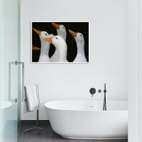 Gargala de Patos Brancos Luminosos Fotográficos