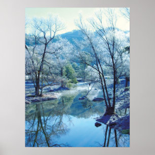 Pôster Garganta de cobre, México