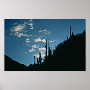 Pôster Garganta de Sabino, arizona