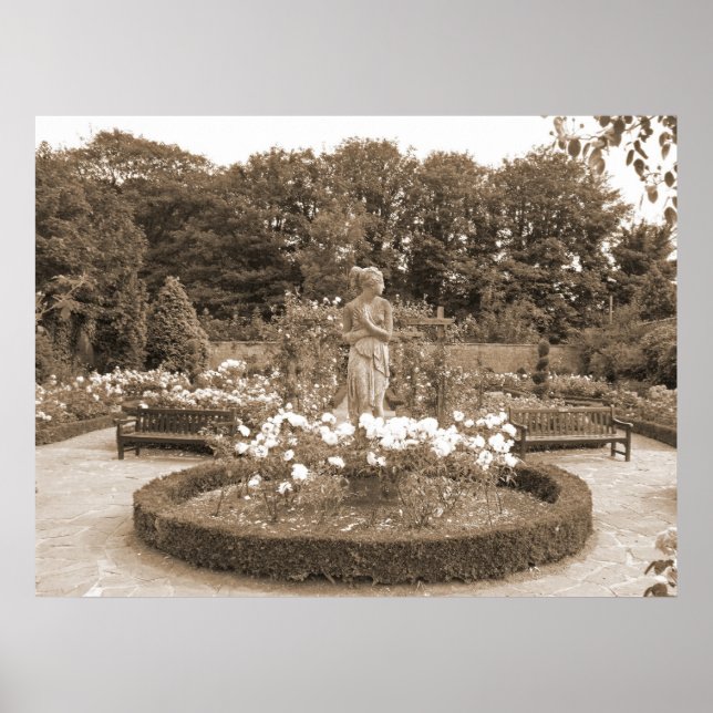 Poster Garota Tímida nas Rosas (Frente)