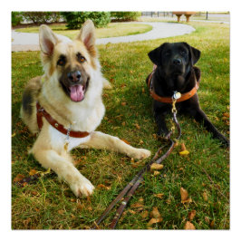 Pôster Garotas trabalhadoras