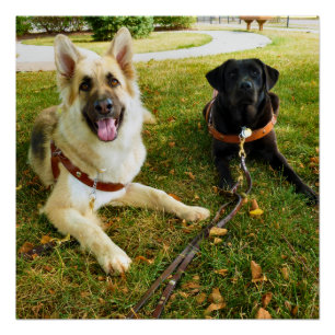 Pôster Garotas trabalhadoras  