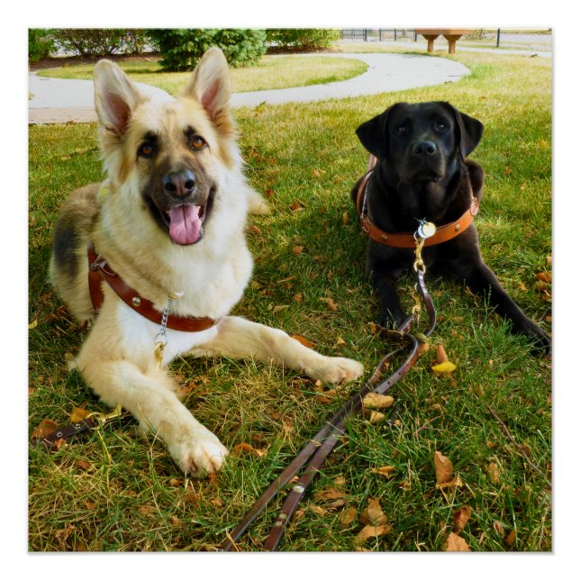 Pôster Garotas trabalhadoras (Frente)