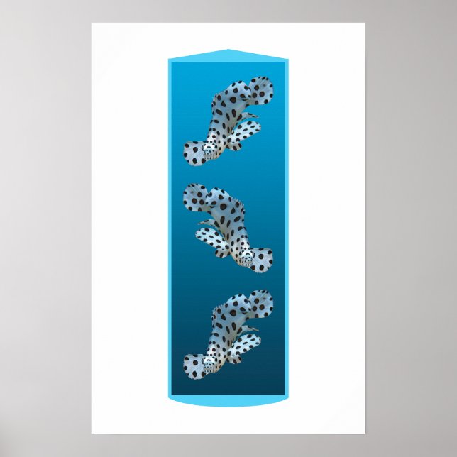 Poster Garroupa Jovem - Design com fundo azul gradiente | (Frente)