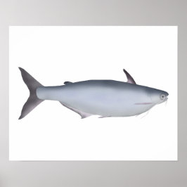 Poster Garua Bachcha