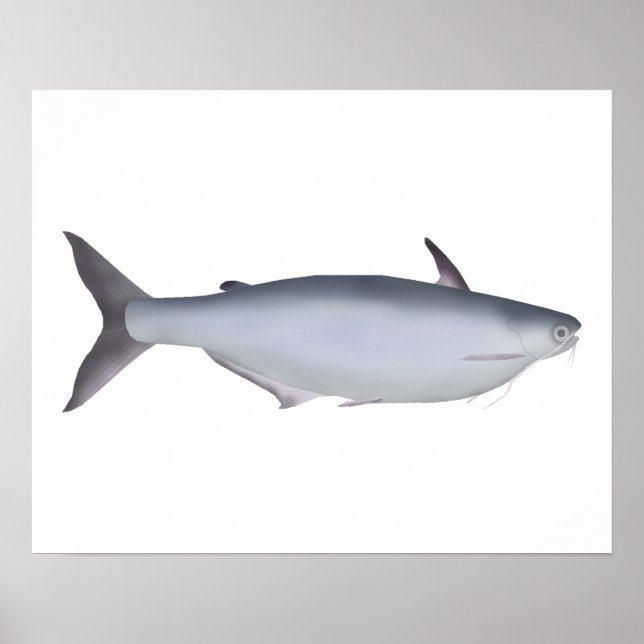 Poster Garua Bachcha (Frente)