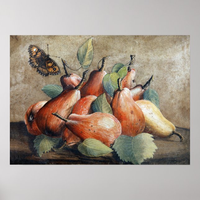 Poster Garzoni - Natureza Morta Com Peras E Uma Borboleta (Frente)