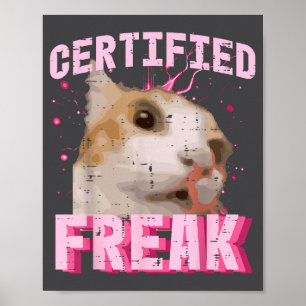 Poster Gata Certificada Louca Frase Divertida Gatinho Mul