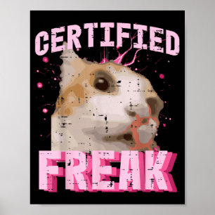 Poster Gata Certificada Louca Piada Divertida Gatinho Mul