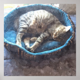 Pôster Gatinha tira um cochilo, Gato Tabby aquarela dormi