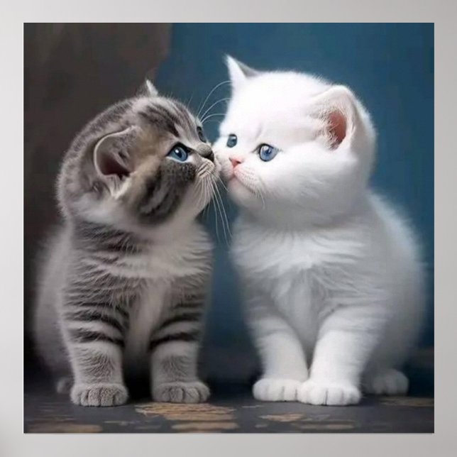 Poster gatinho (Frente)