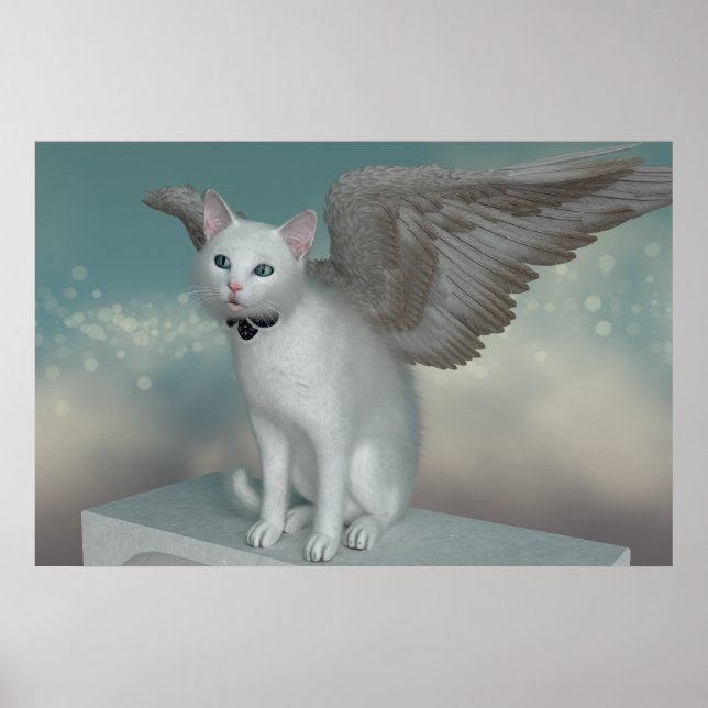 Poster Gatinho Anjo (Frente)