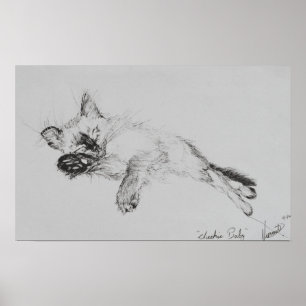 Pôster Gatinho 'Baby