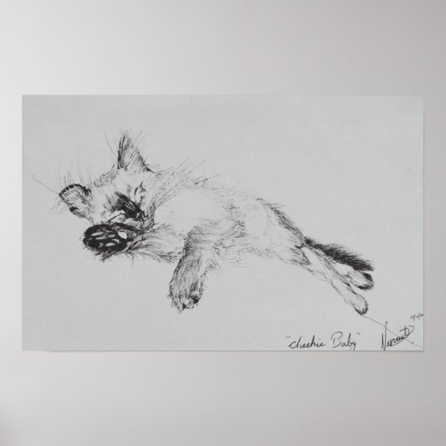 Pôster Gatinho 'Bebê' (Frente)