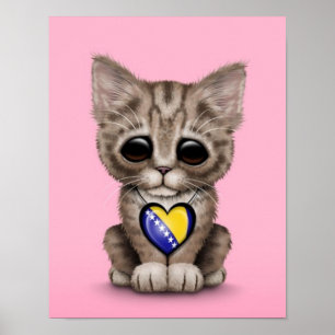 Poster Gatinho bonito com o coração de Bósnia - de