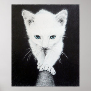 Pôster Gatinho branco e bonito Desenho de animais Amantes