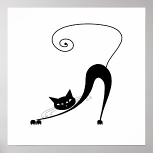 Pôster Gatinho branco preto 2
