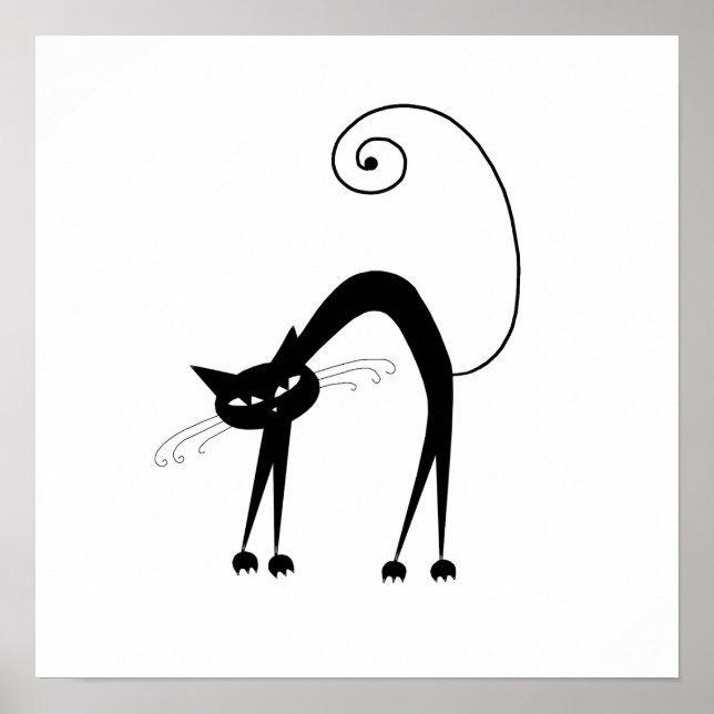 Pôster Gatinho branco preto 9 (Frente)
