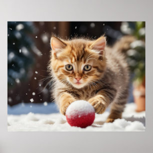 Poster *~* Gatinho Brincando com Bola na Neve 5:4 Gato AP