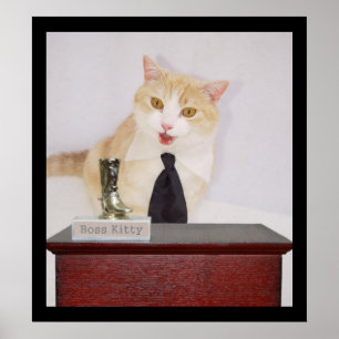 Pôster Gatinho Chefe